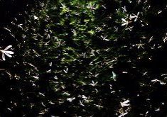 9358576716_e85a750b83_m 9358576716_e85a750b83_m